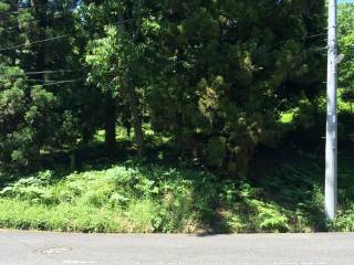 伊豆の国市韮山