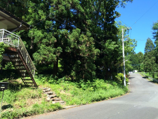 伊豆の国市韮山