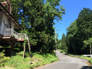 伊豆の国市韮山