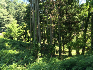 伊豆の国市韮山