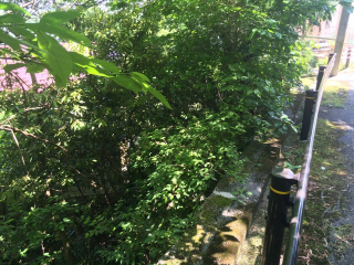熱海市上多賀
