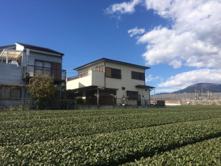 沼津市東椎路