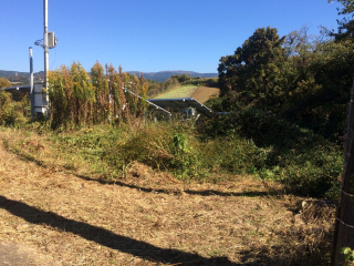 三島市谷田