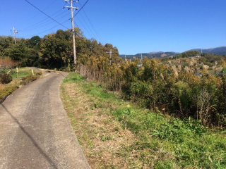 三島市谷田