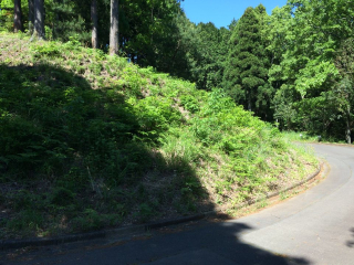 伊豆の国市韮山多田
