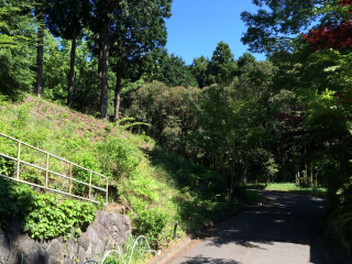 伊豆の国市韮山多田
