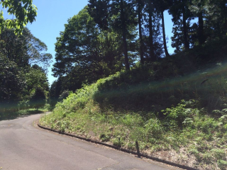 伊豆の国市韮山多田