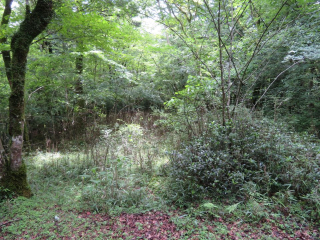 裾野市須山