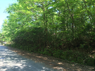 裾野市須山