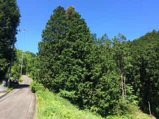 伊豆の国市韮山多田