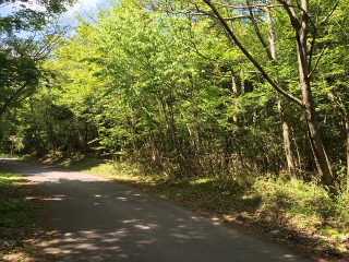 裾野市須山