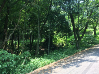田方郡函南町
