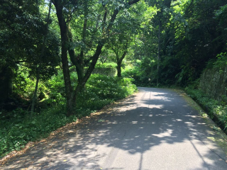 田方郡函南町