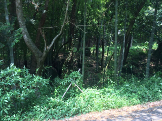 田方郡函南町