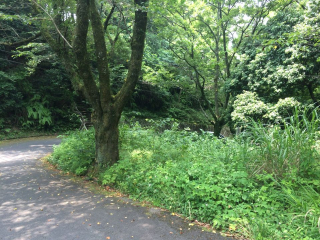田方郡函南町
