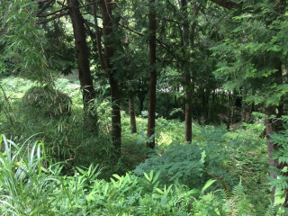 田方郡函南町