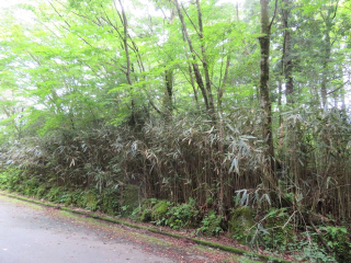 裾野市須山