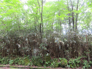 裾野市須山