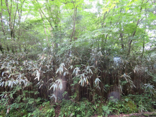 裾野市須山