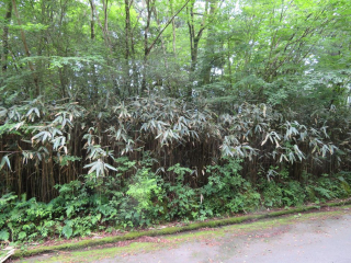 裾野市須山