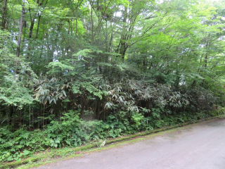 裾野市須山