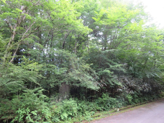 裾野市須山