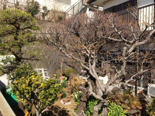 三島市芙蓉台