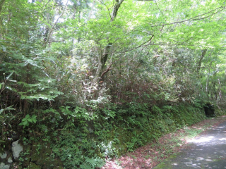 裾野市須山