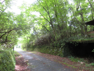 裾野市須山