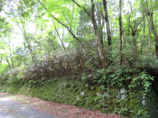 裾野市須山