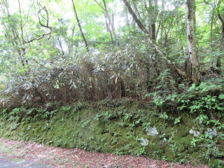 裾野市須山