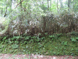 裾野市須山