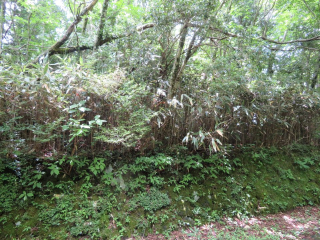 裾野市須山