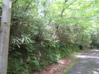 裾野市須山