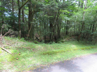 裾野市須山