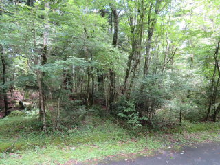 裾野市須山