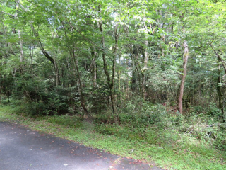 裾野市須山