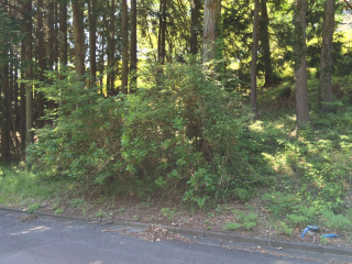 伊豆の国市韮山多田