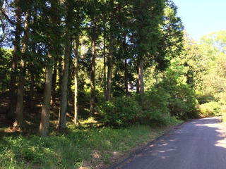 伊豆の国市韮山多田