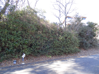 伊豆の国市韮山多田
