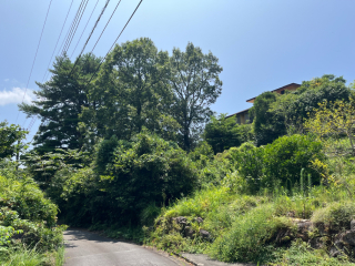 伊豆の国市韮山多田