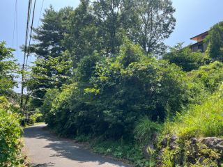 伊豆の国市韮山多田