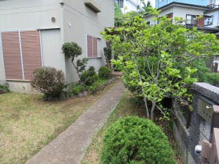 三島市芙蓉台一丁目
